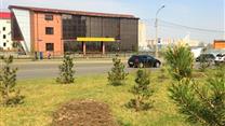 Продам отдельное новое здание с Арендаторами